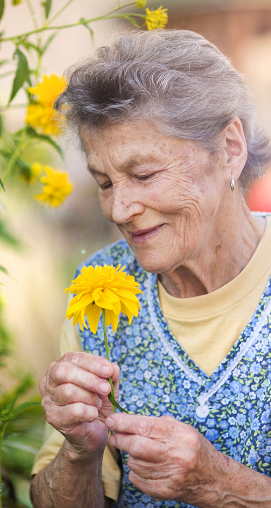 Holistic Senior Living, Jazba Care Gardening, senior home Sacramento, CA, nursing home for elderly